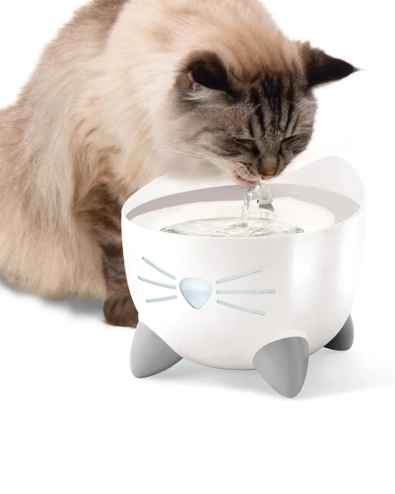 Catit Pixi Stainless Steel Cat Drinking Fountain