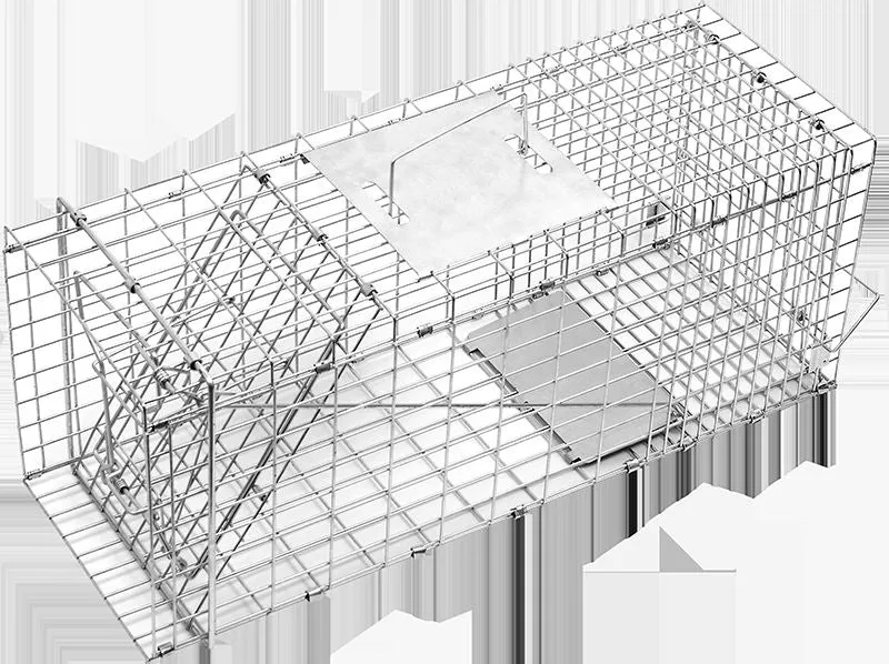 Large Humane Rust-Resistant Live Animal Cage Trap, 66cm | Randy & Travis Machinery