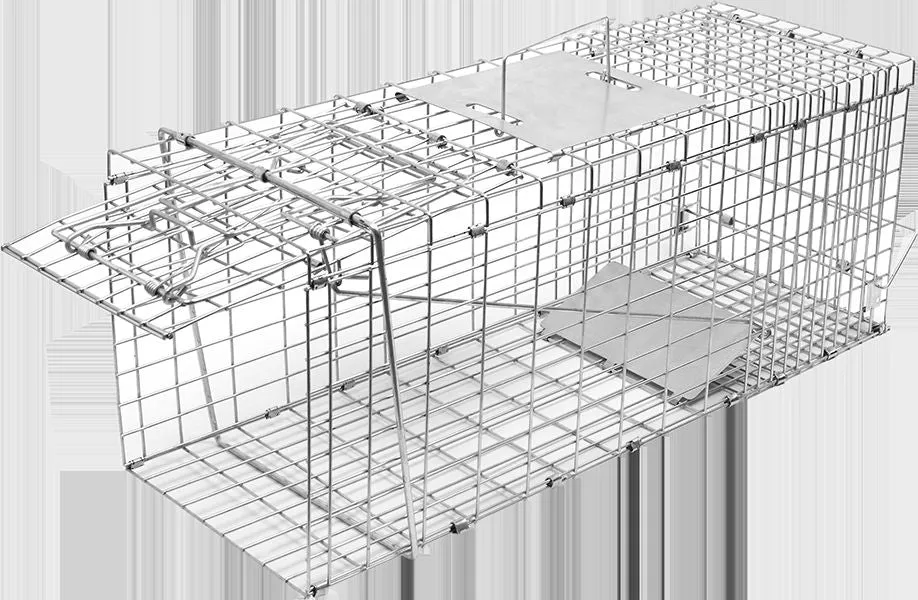 Large Humane Rust-Resistant Live Animal Cage Trap, 66cm | Randy & Travis Machinery