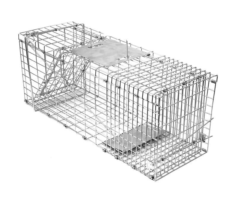 Large Humane Rust-Resistant Live Animal Cage Trap, 66cm | Randy & Travis Machinery