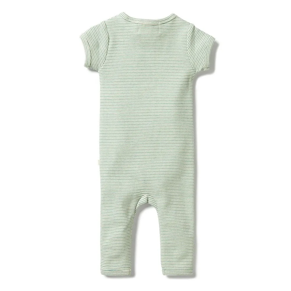 Wilson Frenchy Organic Cotton Striped Short Sleeve Zipsuit - Deep Sea (12-18 Months, 10-12 Kg)